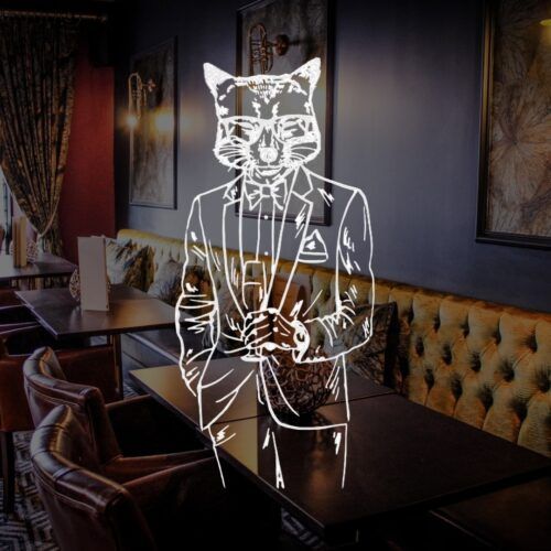 Curious Mr Fox