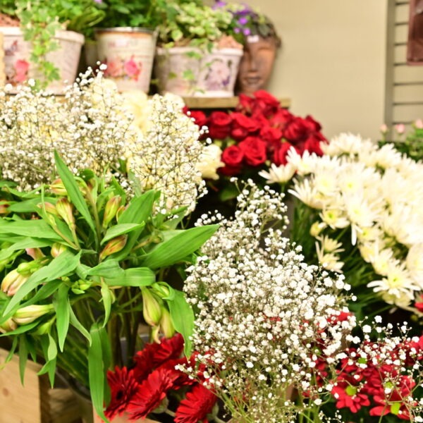 flowers at durham market