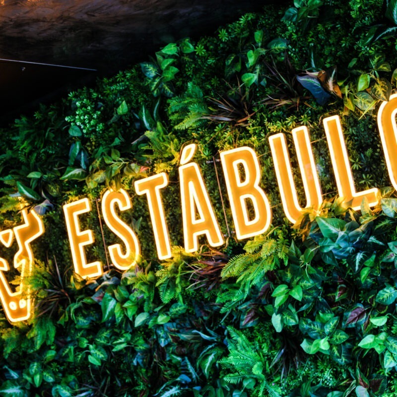 ESTABULO
