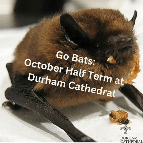 Go Bats: October Half Term at Durham Cathedral 1 Go Bats October Half Term at Durham Cathedral