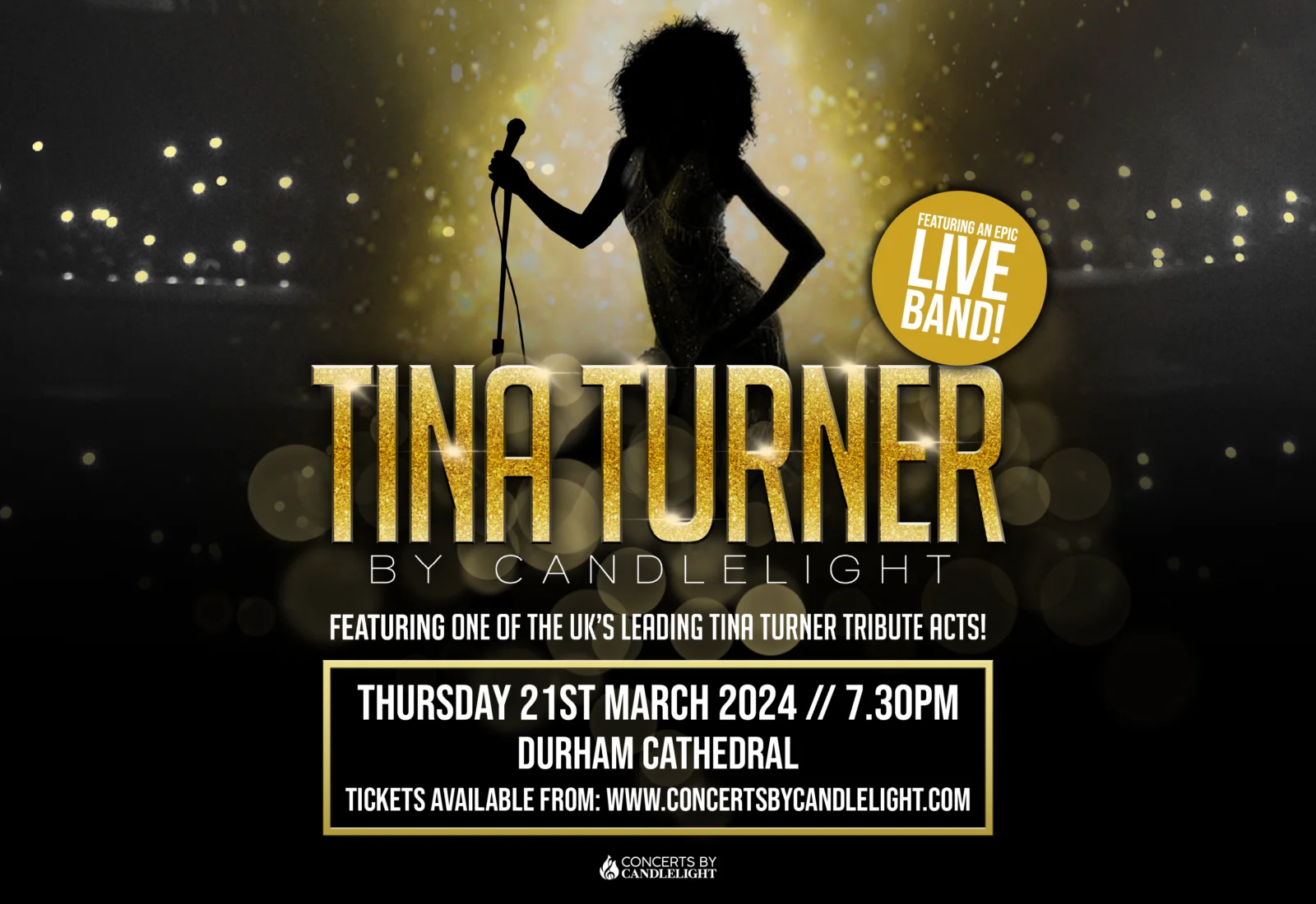 Tina Turner by Candlelight 1 tina turner by candlelight